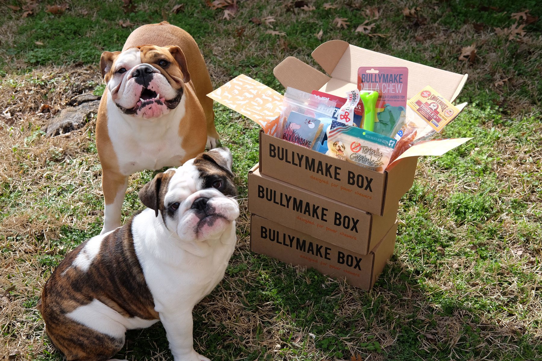 Dog box. Собачий бокс коробка. Бокс фор дог. Chewy Box Dog. Good Box for Dogs.