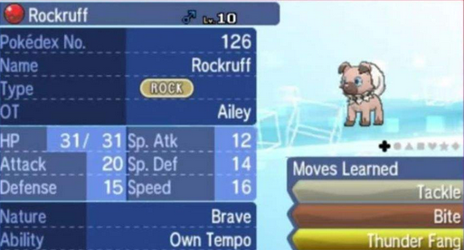 18 How To Get Own Tempo Rockruff Without Event
 10/2022