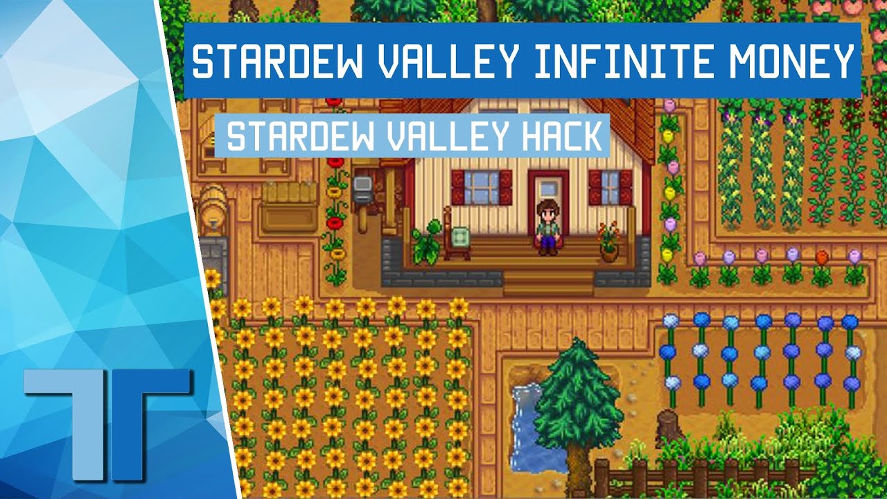 how-do-you-cheat-money-in-stardew-valley