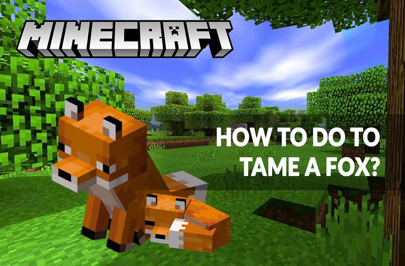 Danny fox minecraft. Фокс майнкрафт. How to Tame a Fox. Minecraft Tame a Fox. Minecraft tameable Foxes.